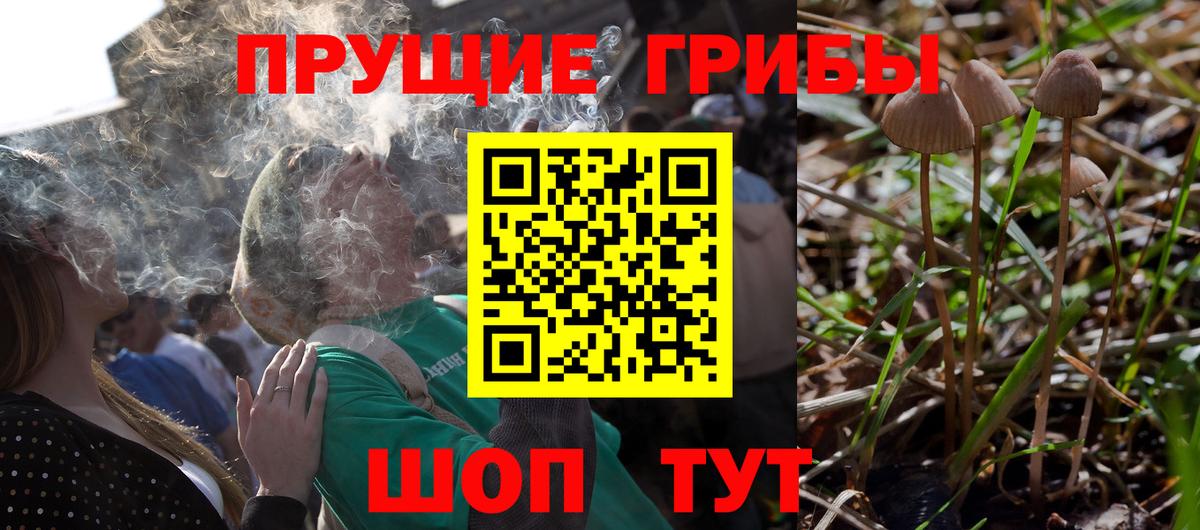 Кохма  Псилоцибиновые грибы мицелий  Вход с VPN 