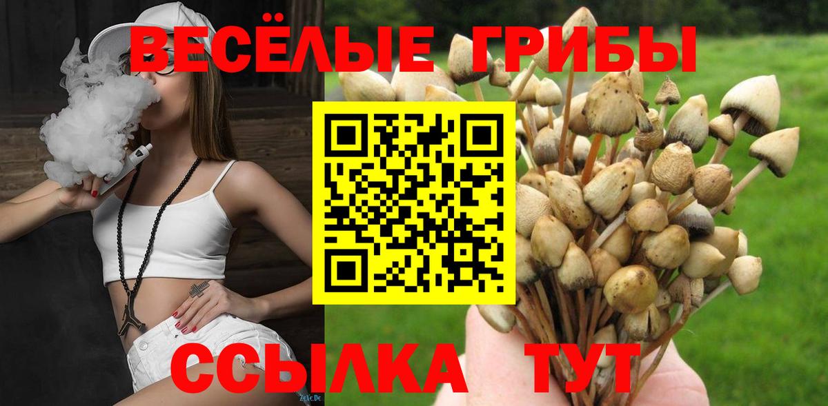 Галлюциногенные грибы Psilocybine cubensis Кохма